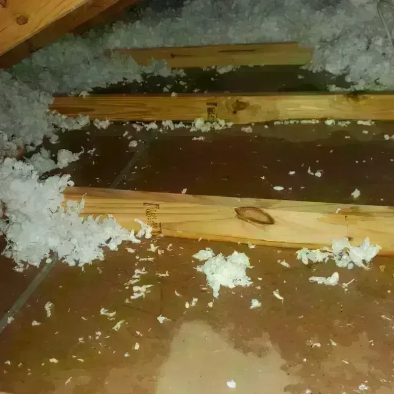 Attic Water Damage in Alfalfa County, OK